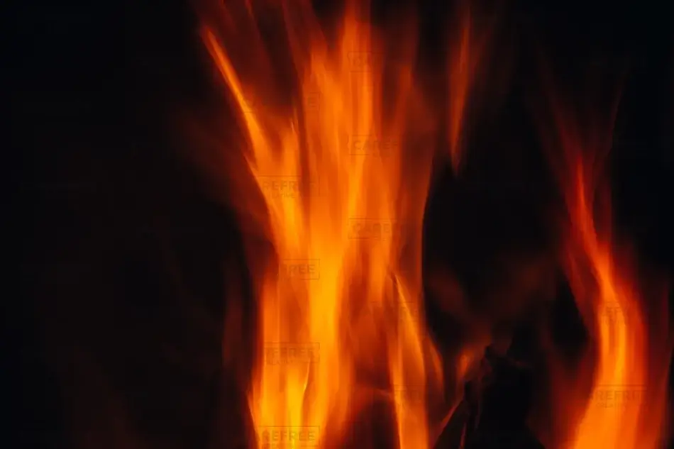 General Section Image