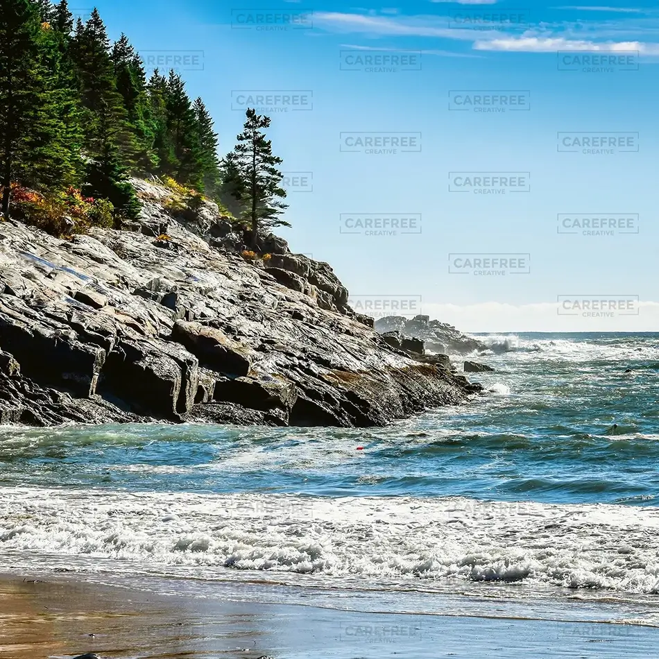 General Section Image