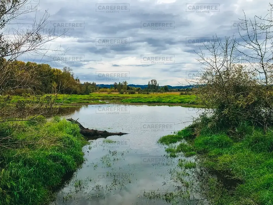 General Section Image