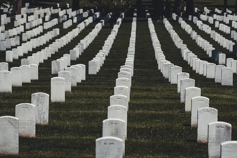 General Section Image