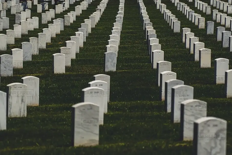 General Section Image