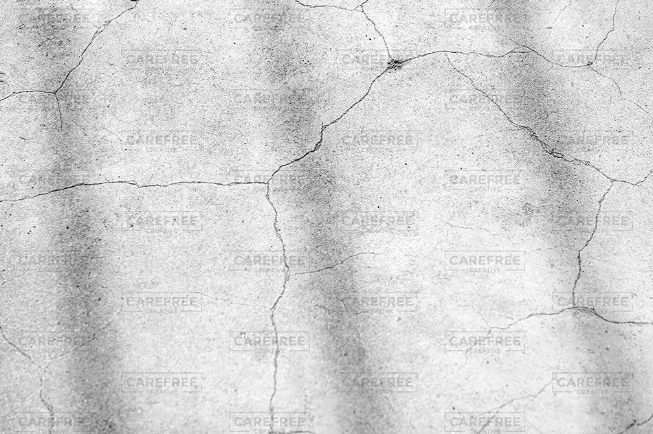 General Section Image