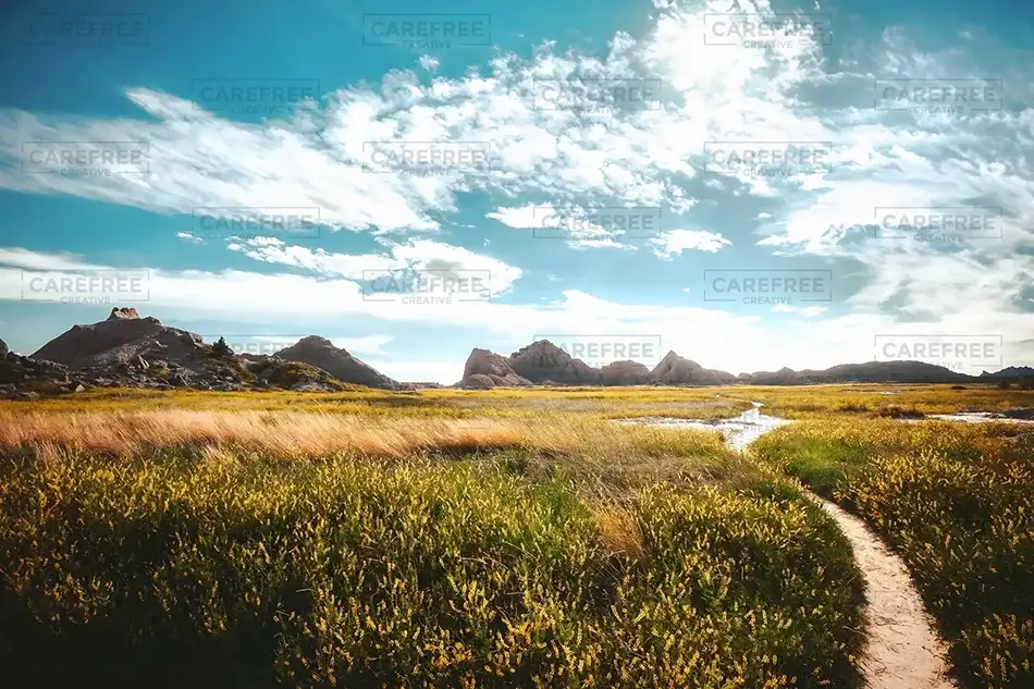 General Section Image