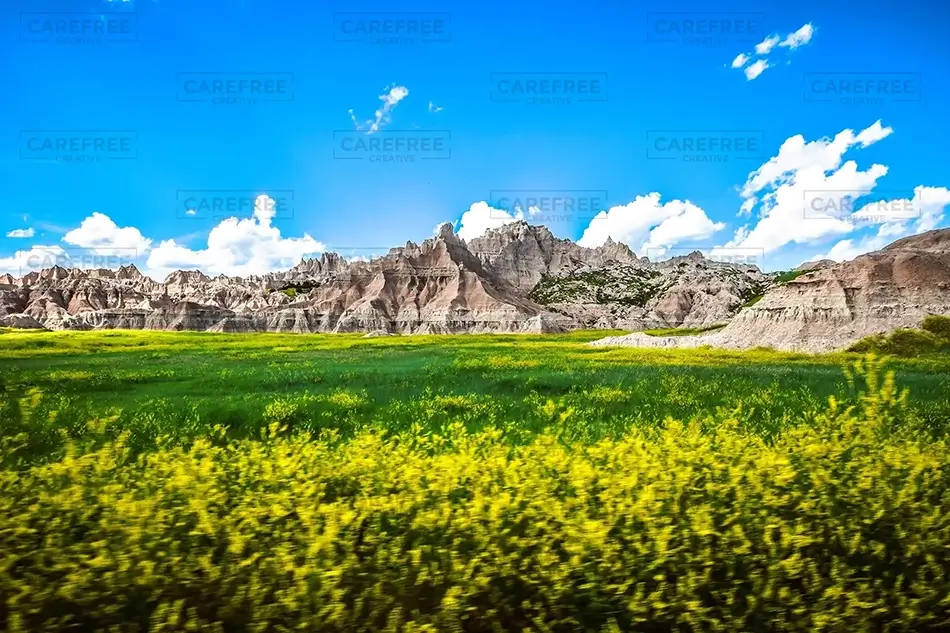 General Section Image