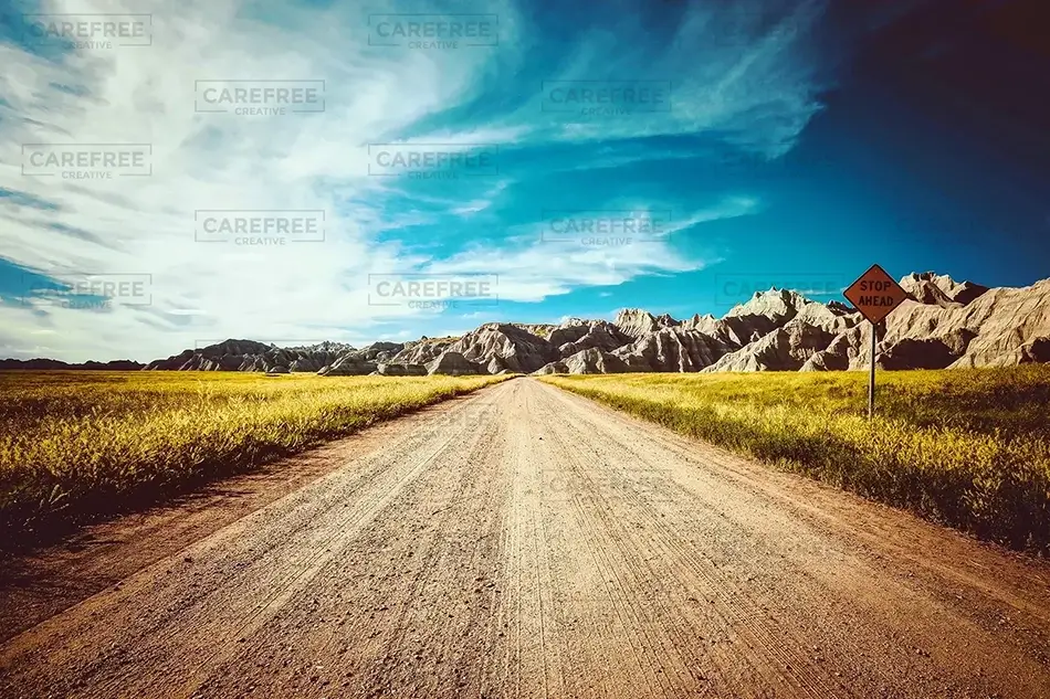 General Section Image