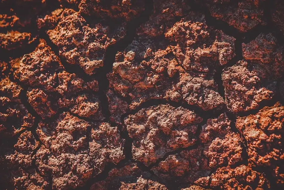 General Section Image