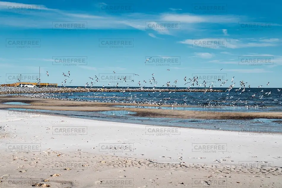 General Section Image