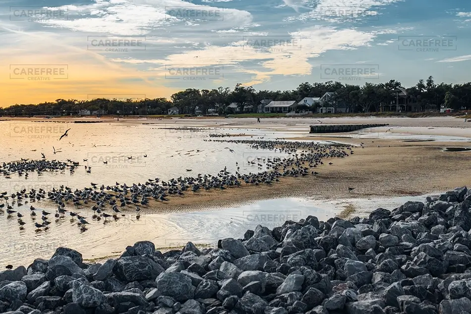 General Section Image