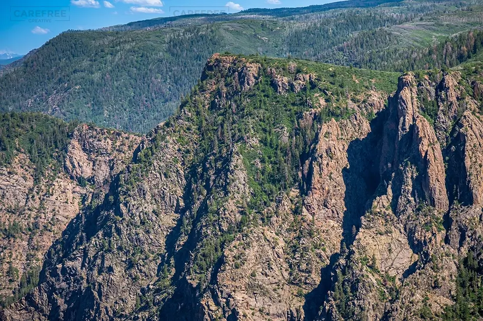 General Section Image