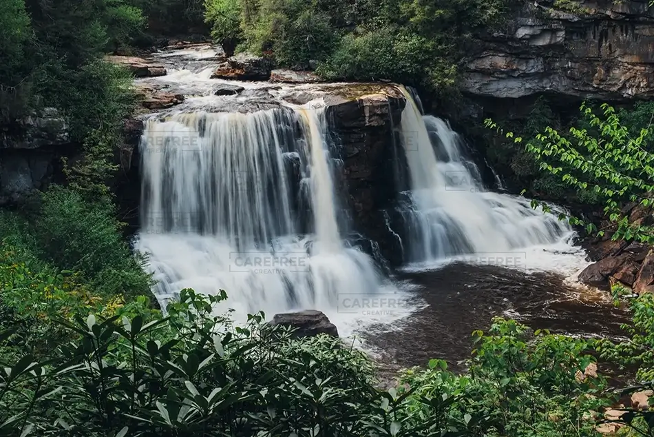 General Section Image