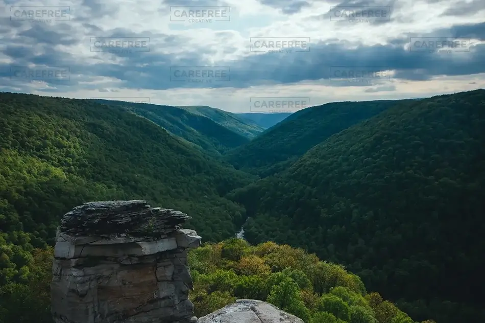 General Section Image