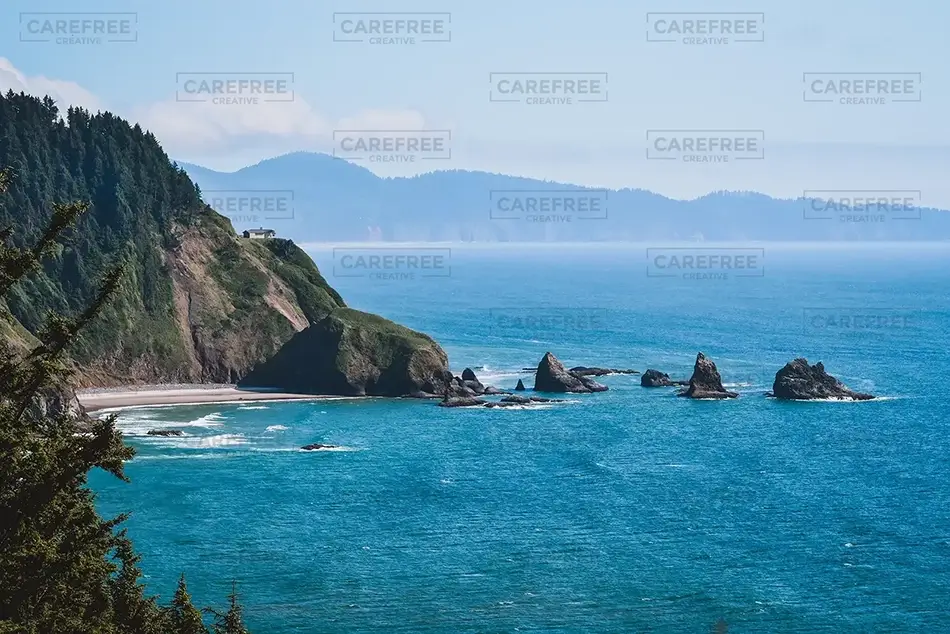 General Section Image