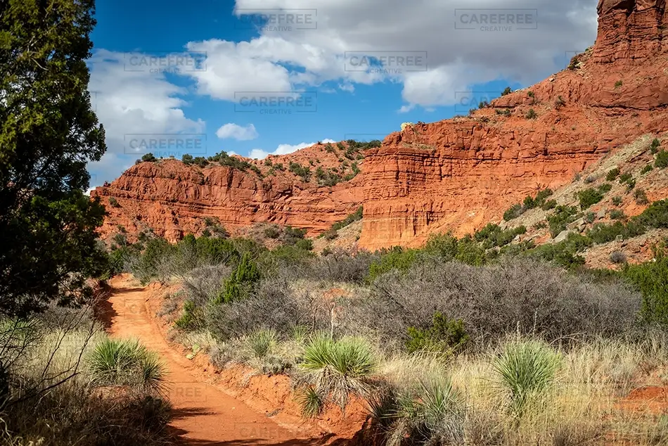 General Section Image