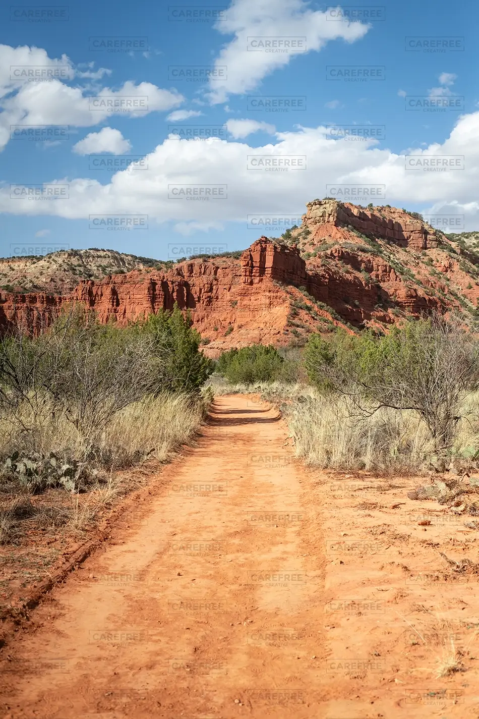 General Section Image