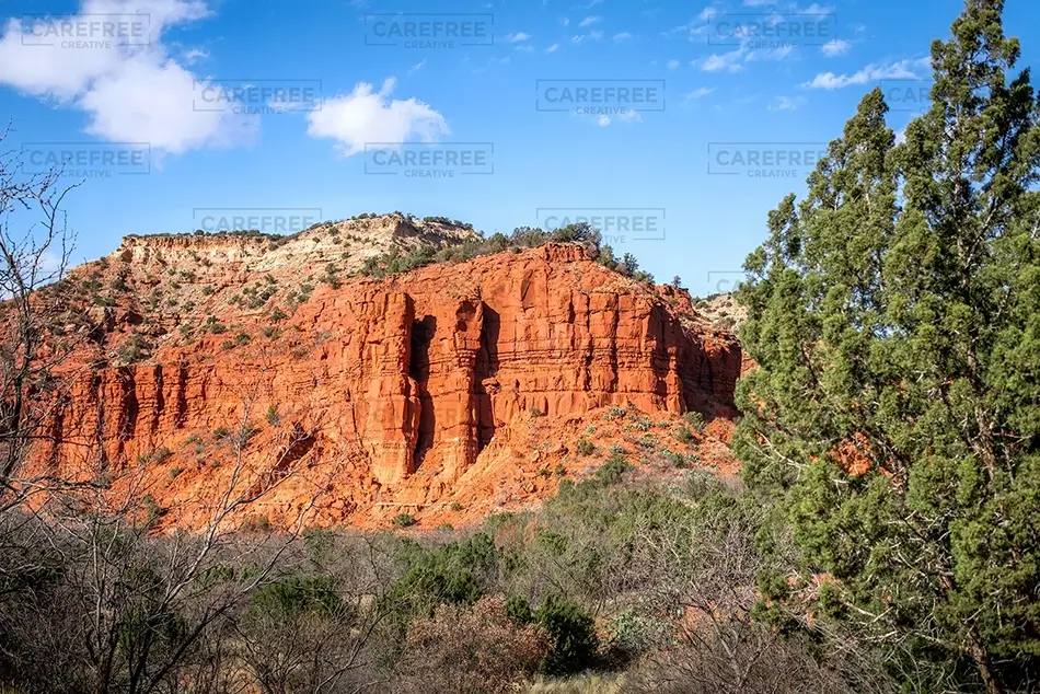 General Section Image