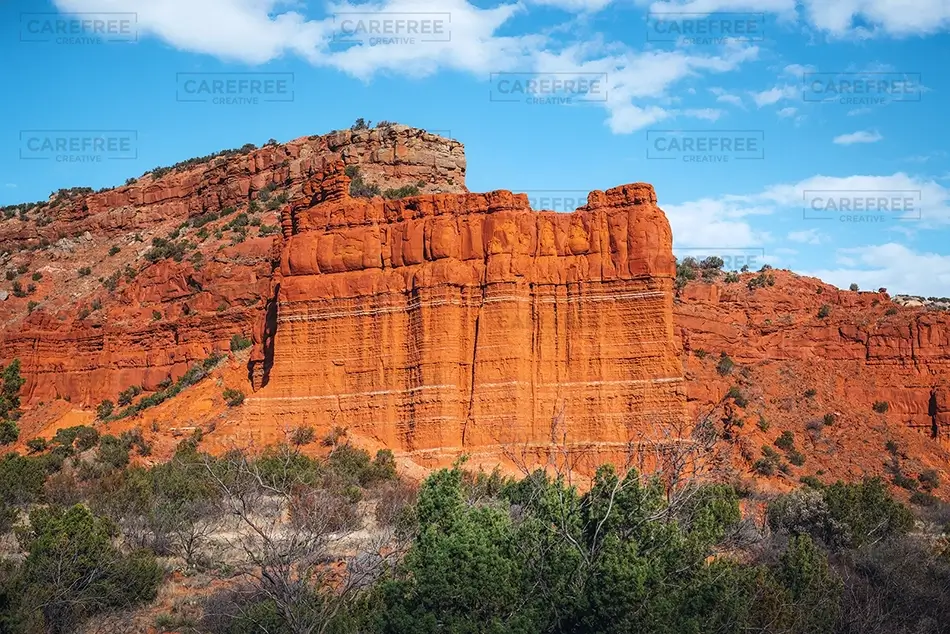 General Section Image