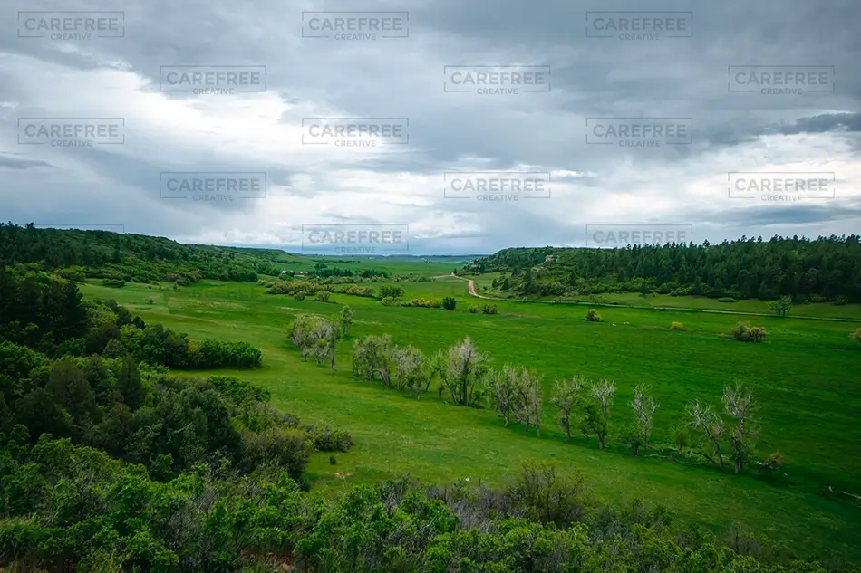 General Section Image