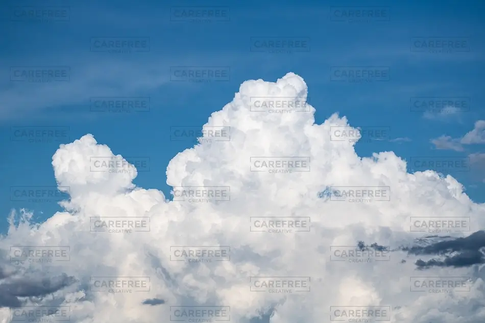 General Section Image