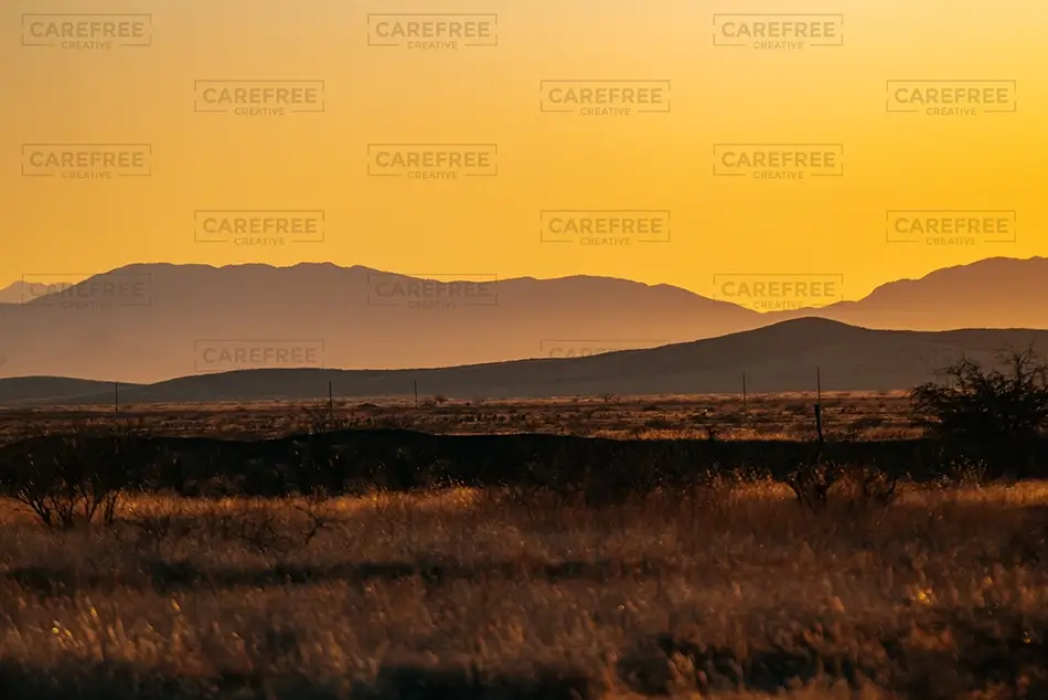 General Section Image