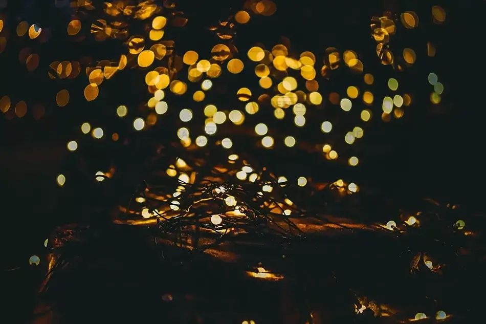 General Section Image