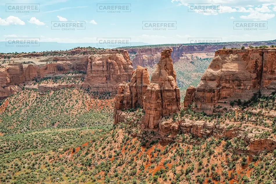 General Section Image