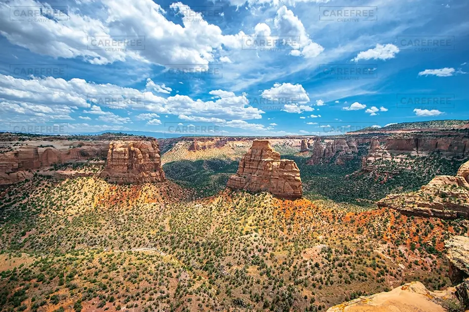 General Section Image