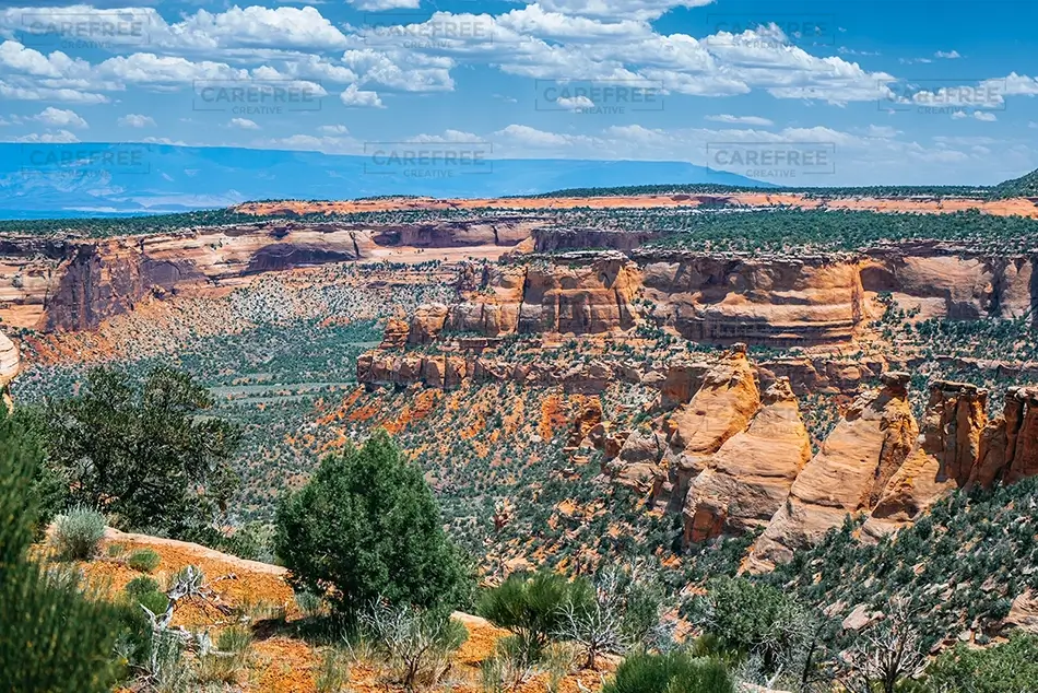 General Section Image