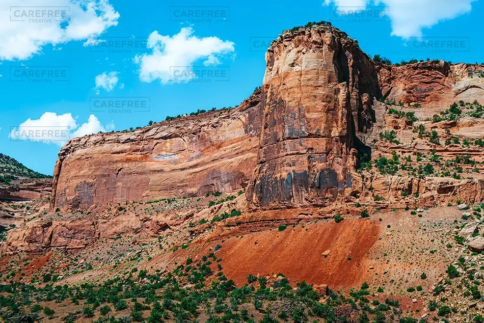 General Section Image