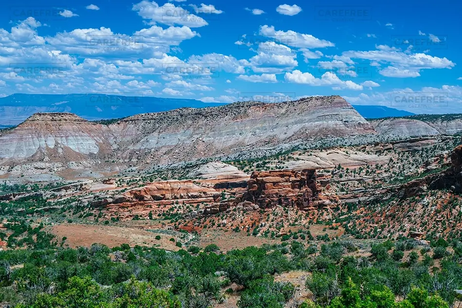 General Section Image