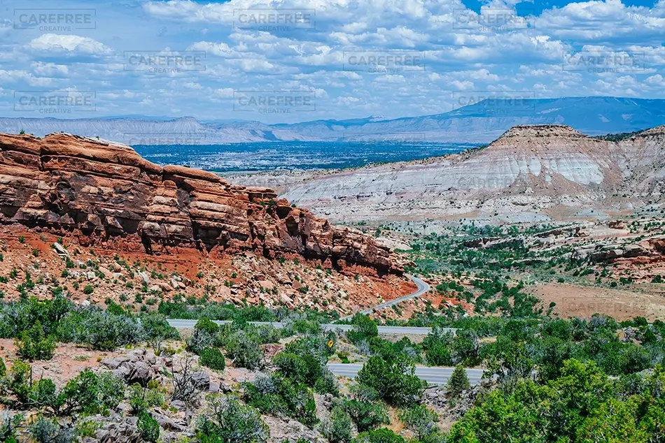 General Section Image