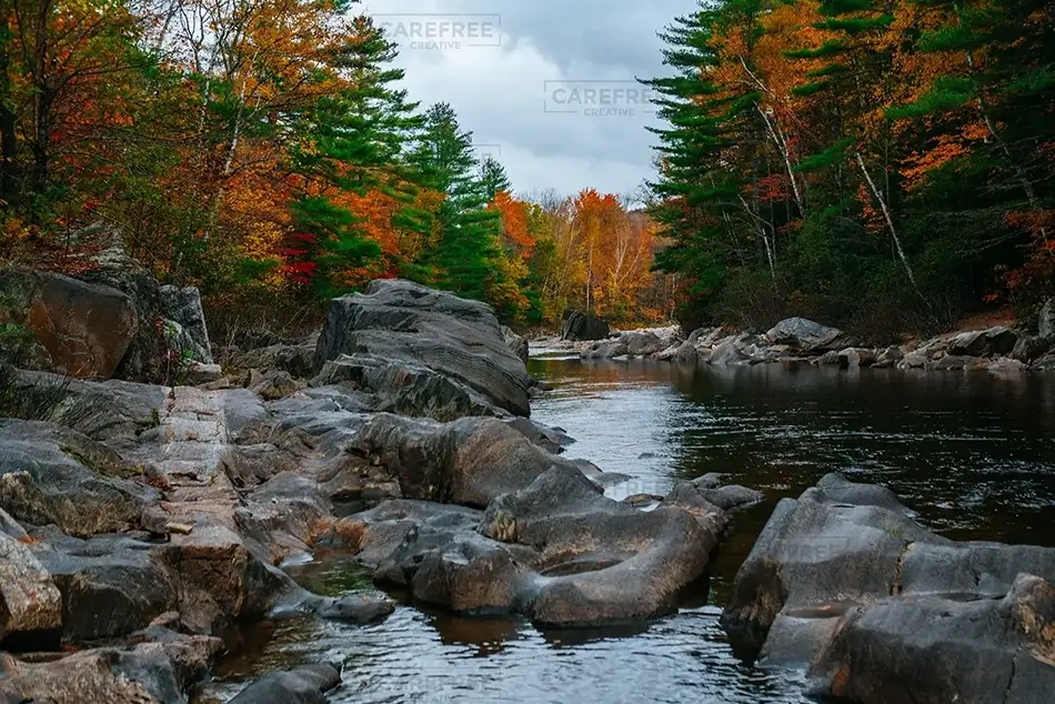 General Section Image