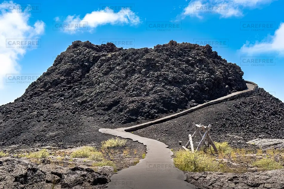 General Section Image