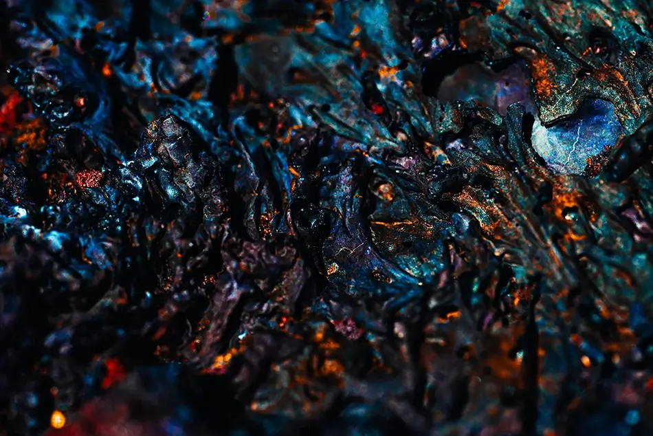 General Section Image