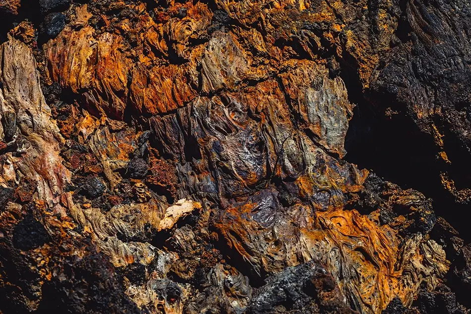 General Section Image