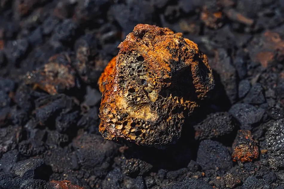 General Section Image