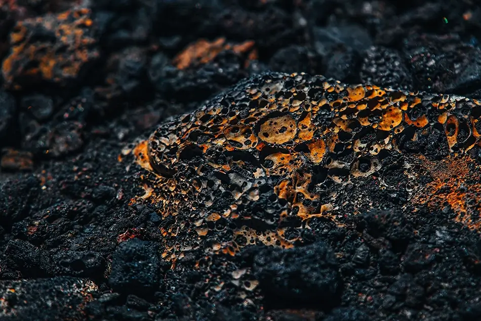 General Section Image