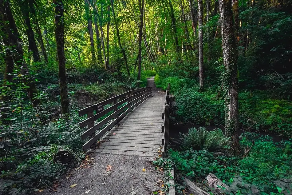 General Section Image