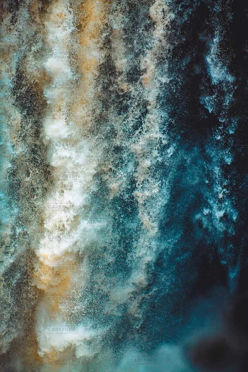 General Section Image