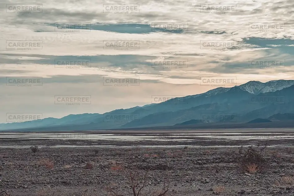 General Section Image