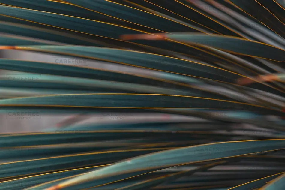 General Section Image