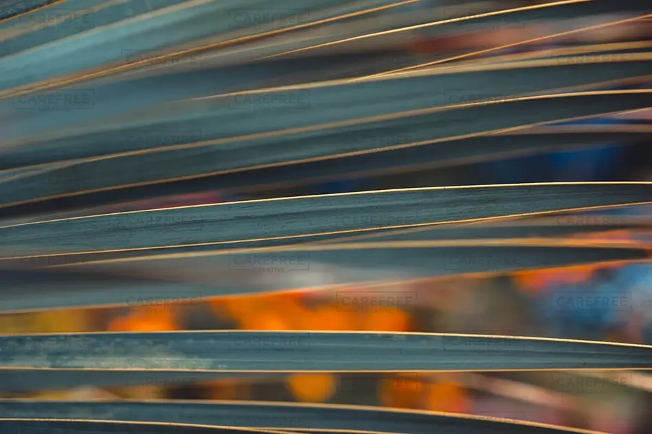 General Section Image