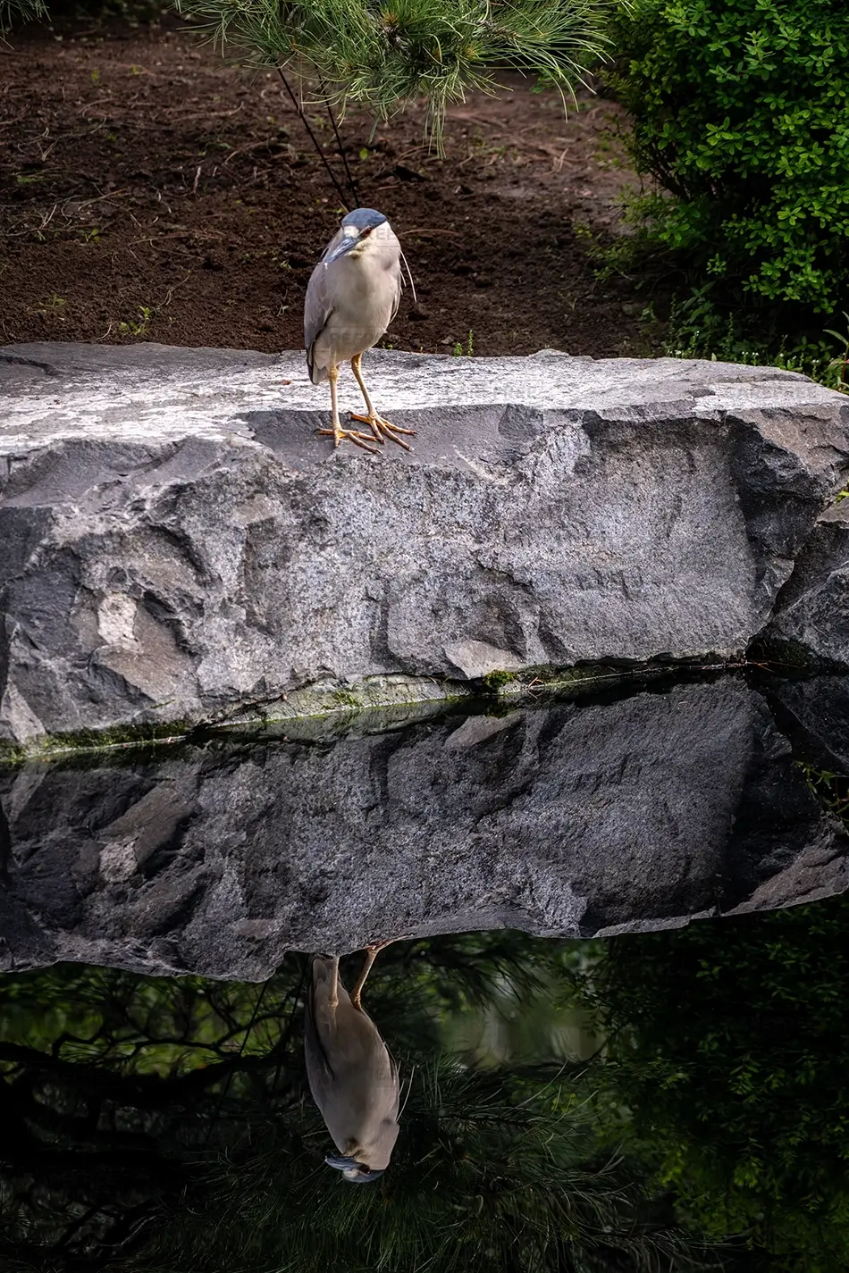 General Section Image