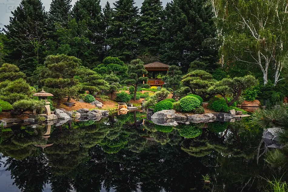 General Section Image