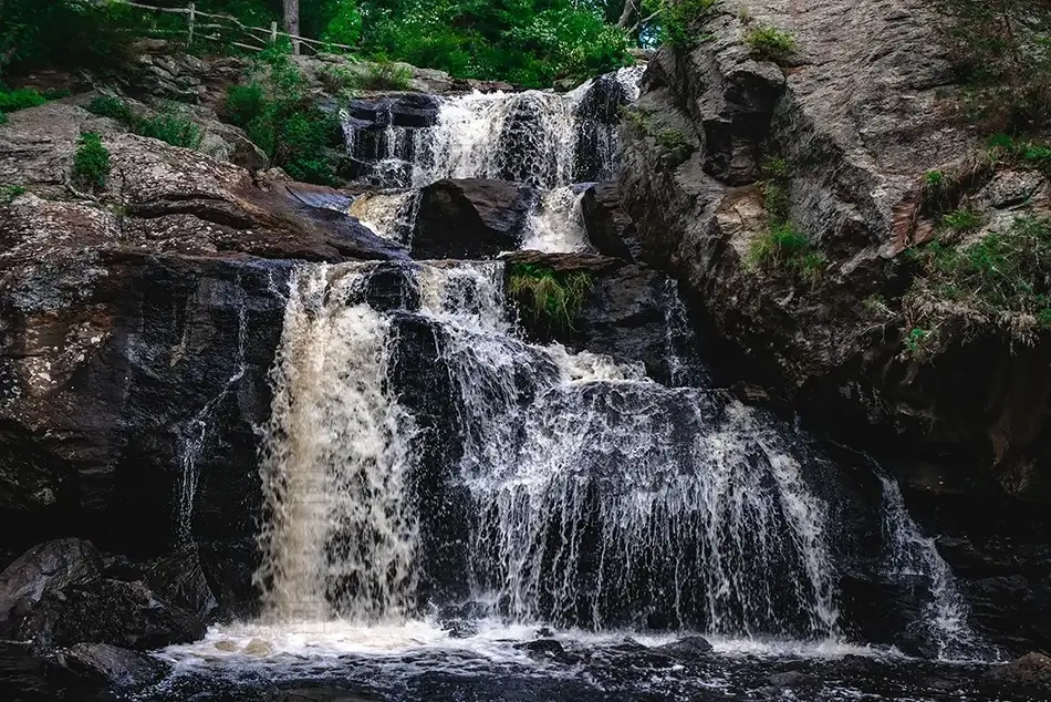 General Section Image