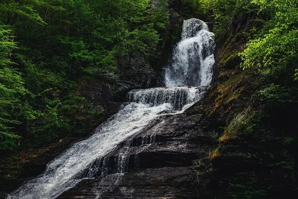 General Section Image