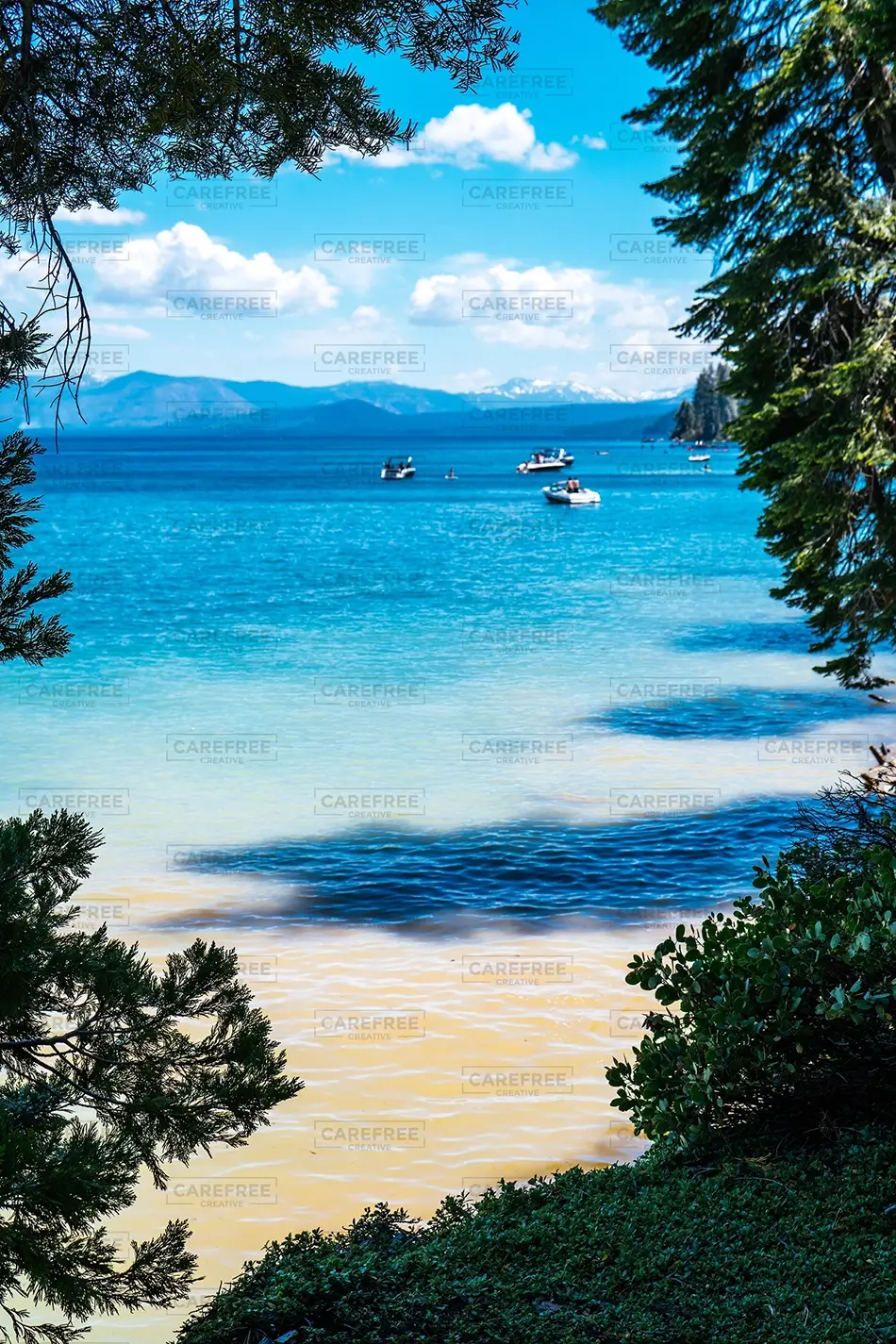 General Section Image