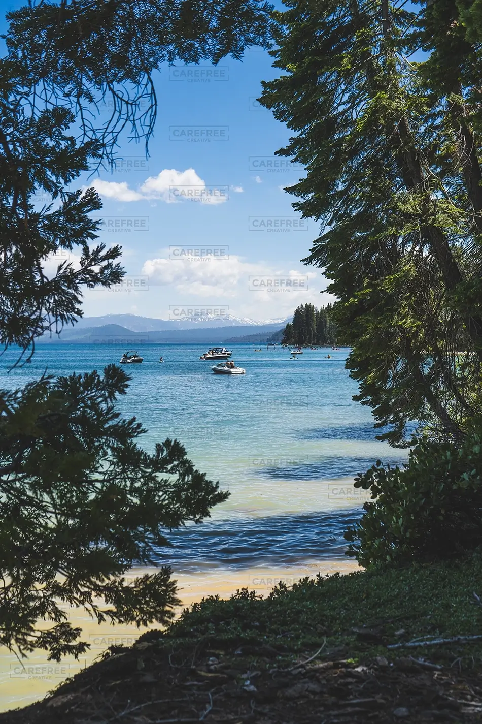 General Section Image