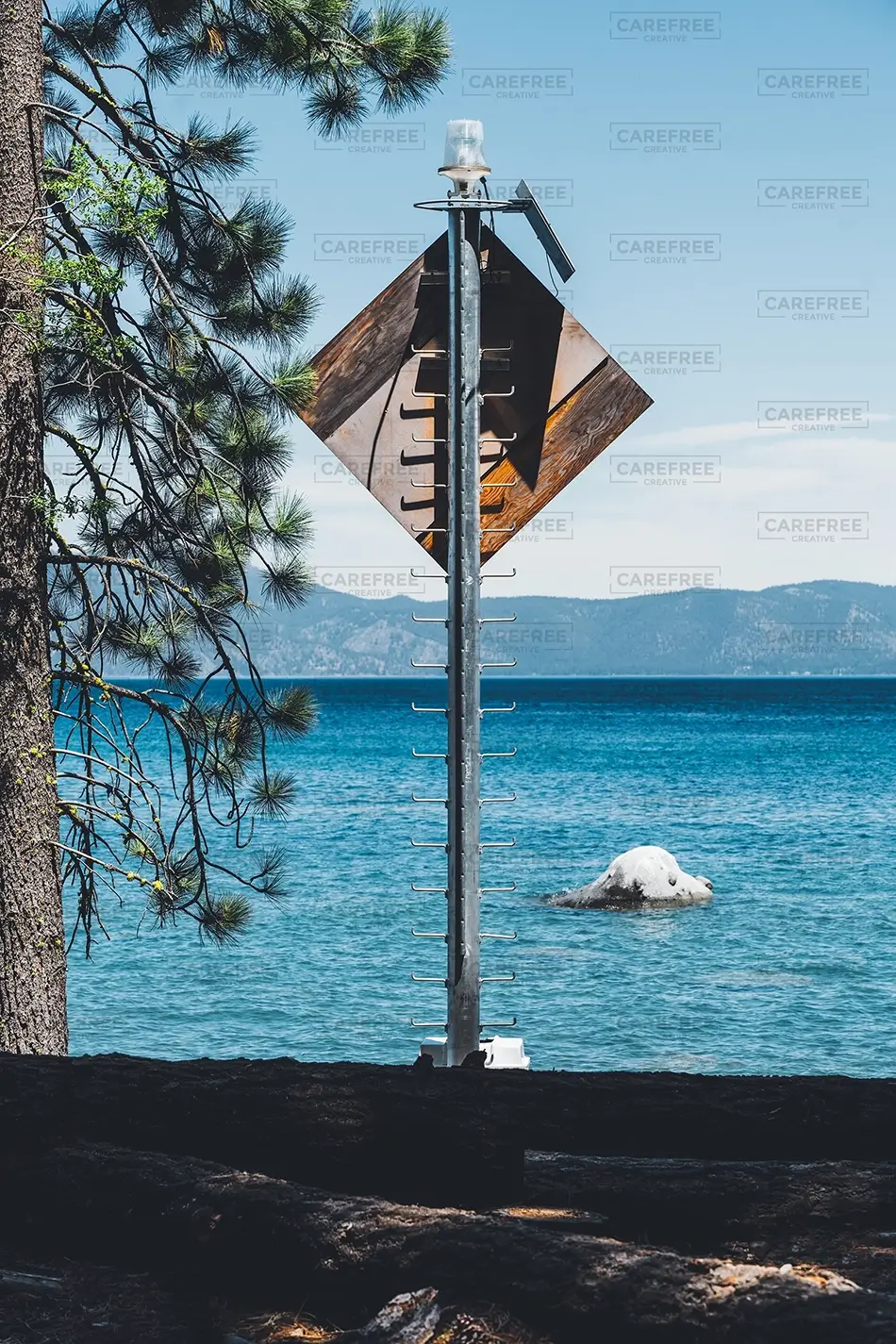 General Section Image