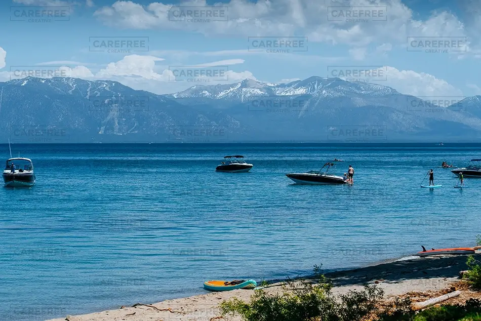 General Section Image