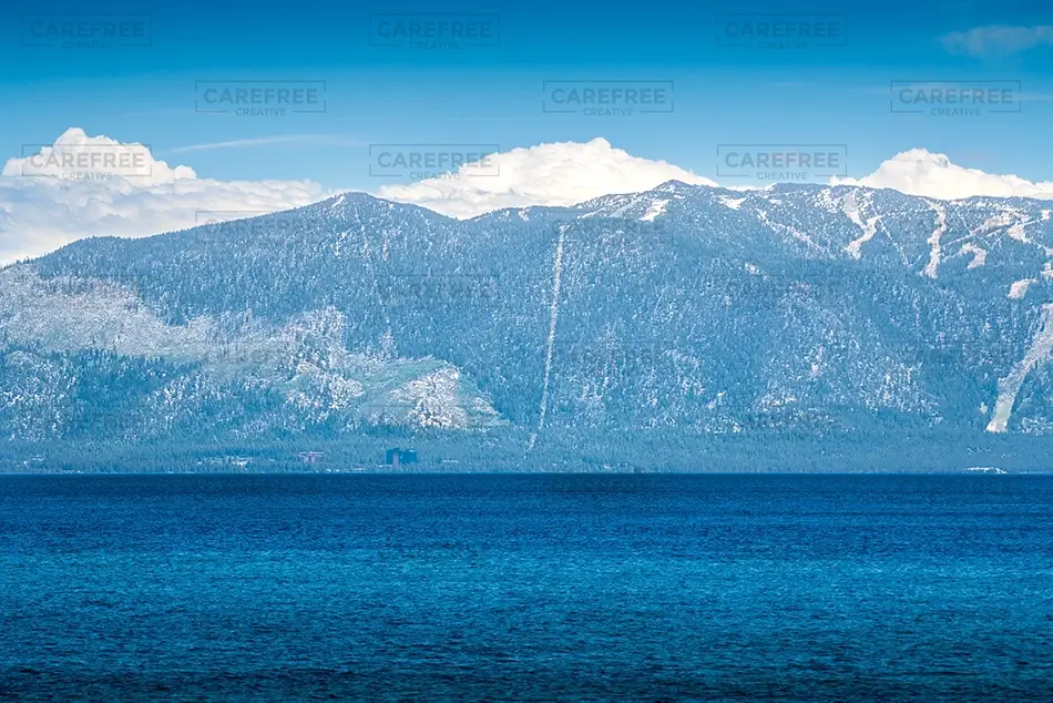 General Section Image